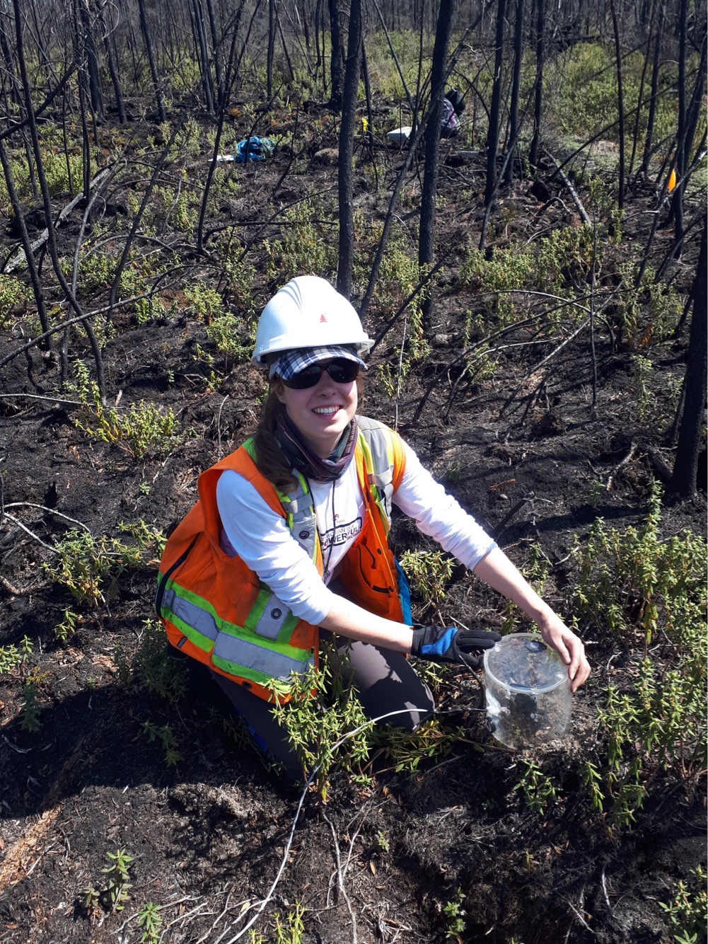 McMaster PhD student Sophie Wilkinson measures evapotranspiration  – the amount of water lost due to evaporation from soil, vegetative surfaces and lakes, as well as through the pores of leaves during photosynthesis – on an area of peatland in northern Alberta.