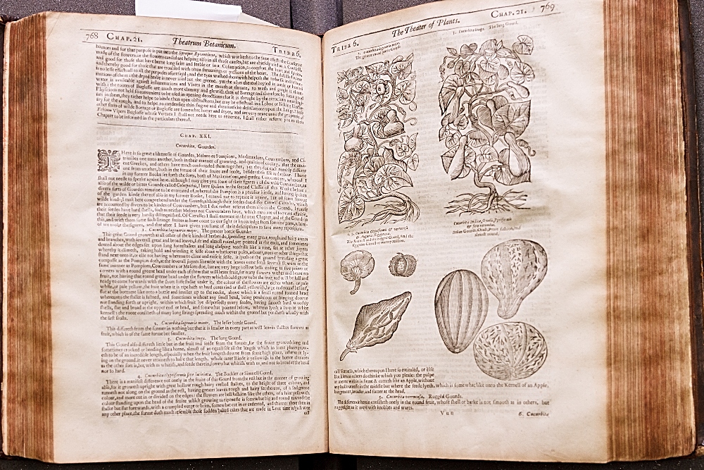 PARKINSON, John.Theatrum Botanicum. (First edition; London, 1640)