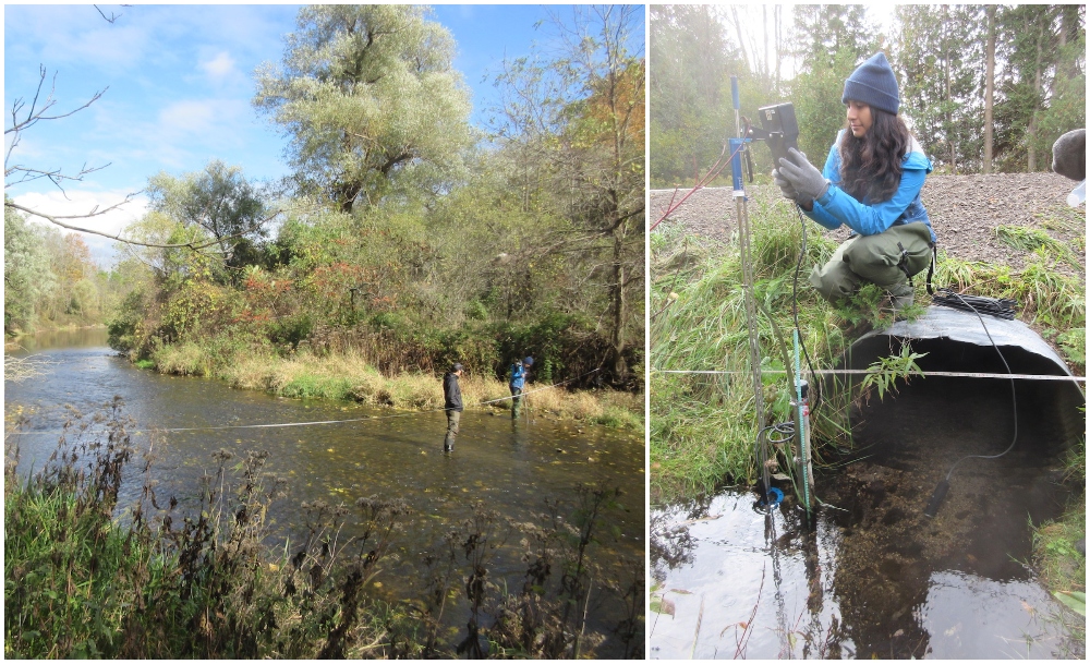 Project team members monitor water in Spencer Creek, which runs adjacent to McMaster’s campus and the largest contributor of water to Cootes Paradise. 