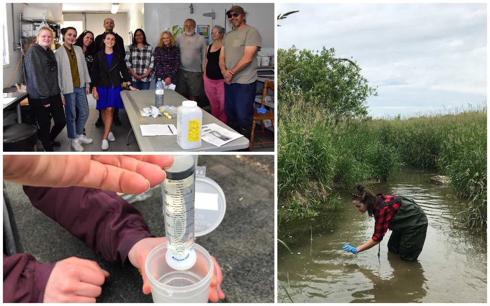 (Top left) A group of community volunteers who took part in a citizen science workshop in the Bruce Peninsula. (Bottom left) Example of a simplified water sampling technique developed by the project team. (Right) Project co-lead, Alana Tedeschi, places a rod for wetland monitoring.