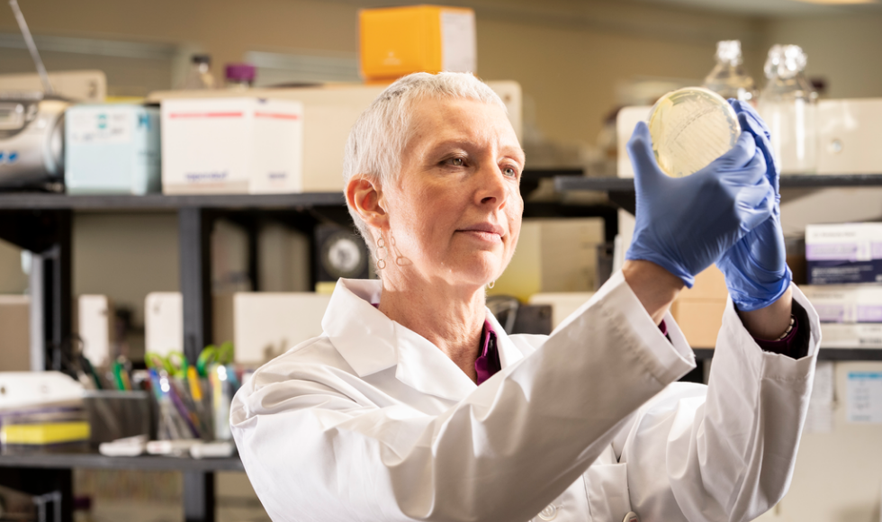 A photo of Lori Burrows standing in a lab, wearing gloves and a lap coat and examining something in a petri dish.