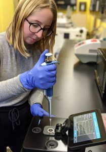 Isabella Passos-Gastaldo leaning over a table working in the Rheinstadter lab. 