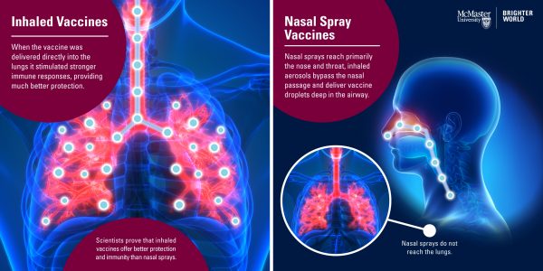 Infographic comparing the efficacy of nasal spray and aerosolized inhaled vaccines.