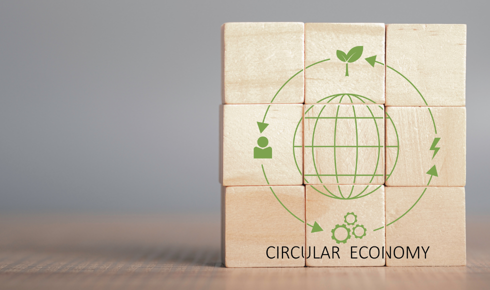 Nine wooden squares arranged so the words and images on them complete an image labelled "circular economy"