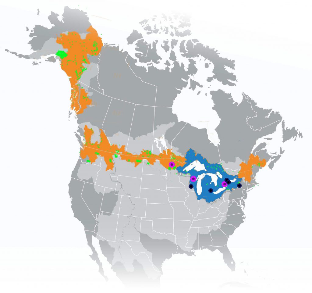  A map of North America with watersheds along the U.S.-Canada border highlighted in organ and green. 