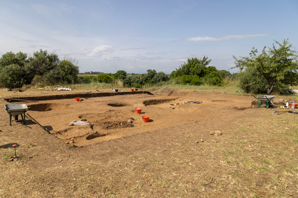 A photo of the Metaponto dig site. Buckets, shovels and wheelbarrows line the landscape, with small holes dug in the land.