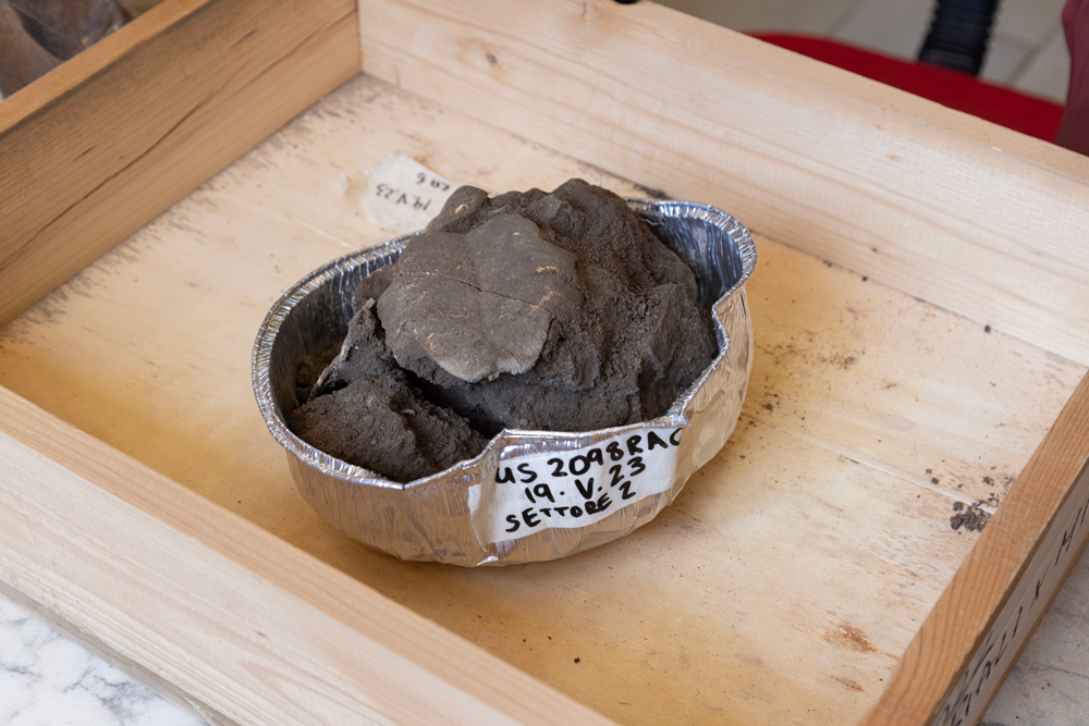 The remains, covered in dirt and soot, of a tortoise sit in a bowl made of foil. It is placed on a table in a wooden crate.
