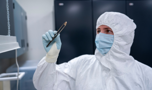 A researcher in personal protective equipment holding up a research specimen with a pair of tweezers 