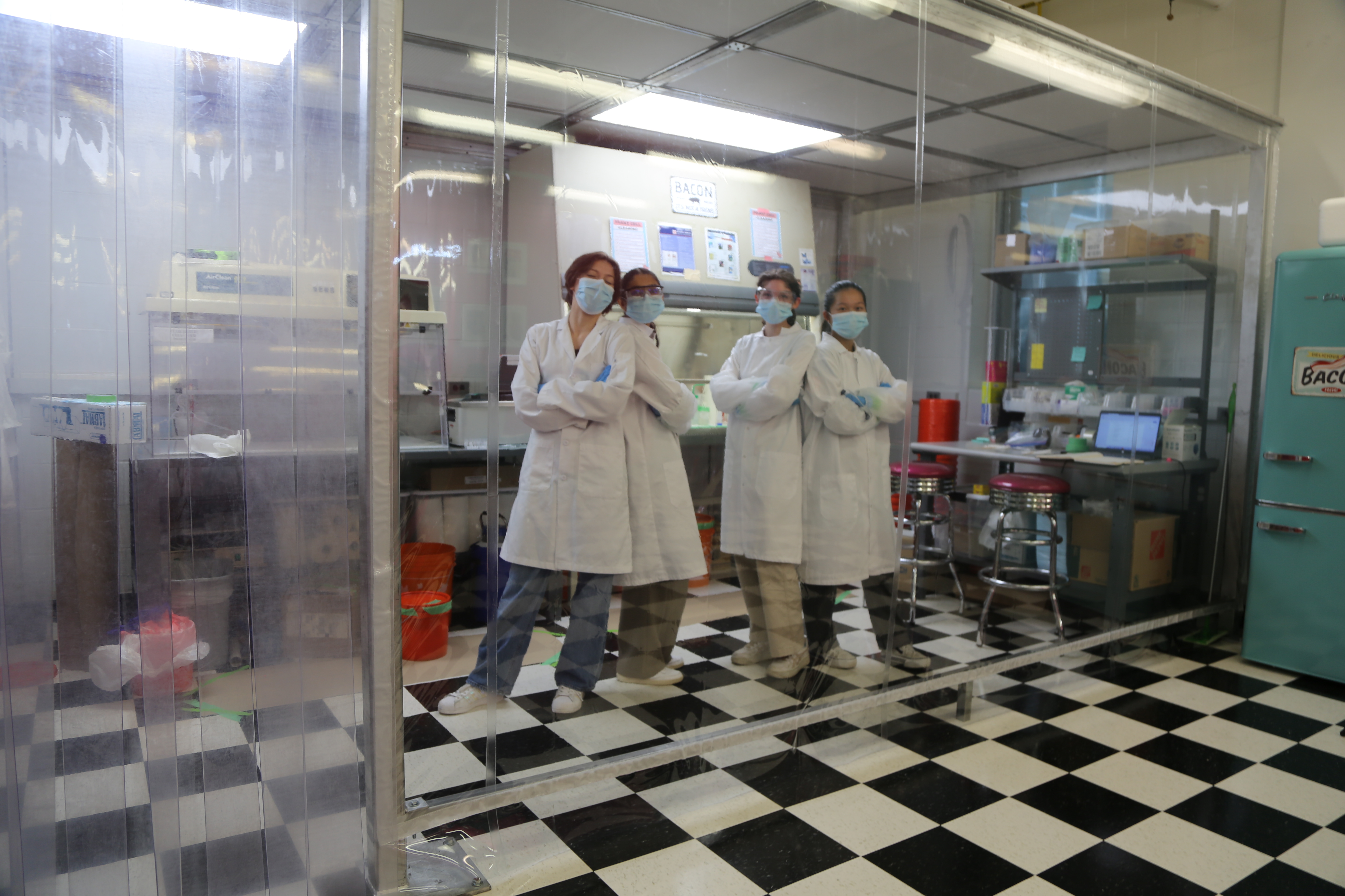 The clean room in Fiona McNeill's Toxic Allure lab