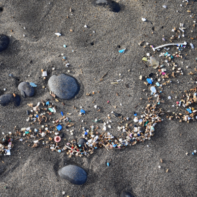 Tiny pieces of plastic washed up on a beach.