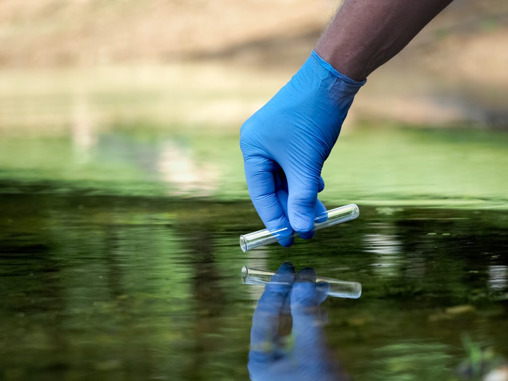 How To Test Water In Pond