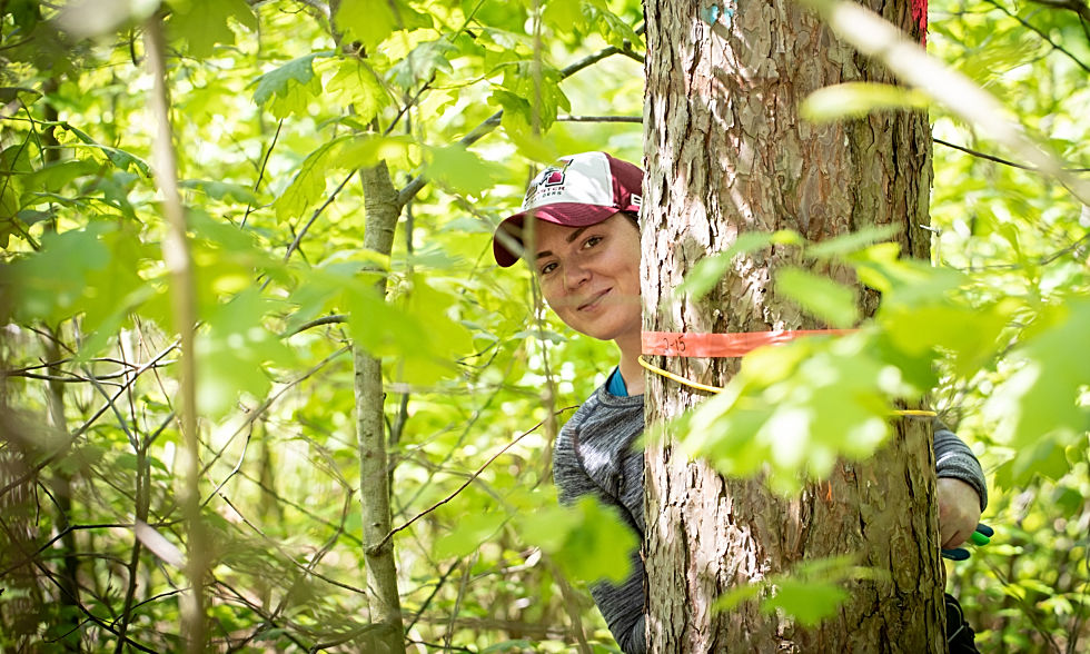 McMaster PhD student Alanna Bodo has built more than 120 sensors to measure how trees breathe. It’s part of a research project aimed at identifying forestry practices that could help forests adapt to the challenges of climate change.