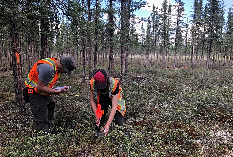 McMaster researcher Mike Waddington is leading Boreal Water Futures, a project aimed at understanding the changes occurring in Canada’s vast Boreal region to help decision-makers better predict, plan for, and manage water-related risks.