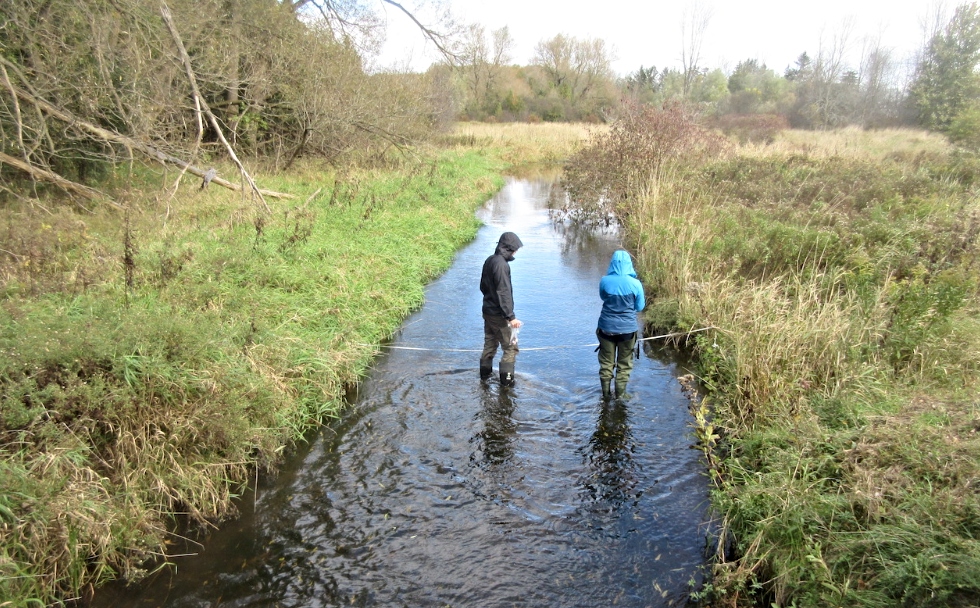 McMaster graduate students monitor the Water in Spencer Creek which runs adjacent to McMaster’s campus and flows into Cootes Paradise. This is just one of the many community-based projects undertaken by researchers in the Faculty of Science with funding from the RBC Blue Water Foundation.