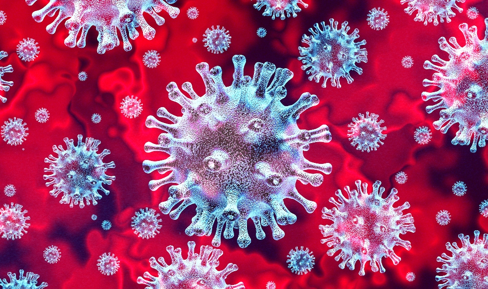 Explaining the coronavirus - Brighter World