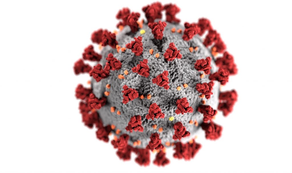 Illustration of coronavirus, a sphere with tasselly bits sticking out of it