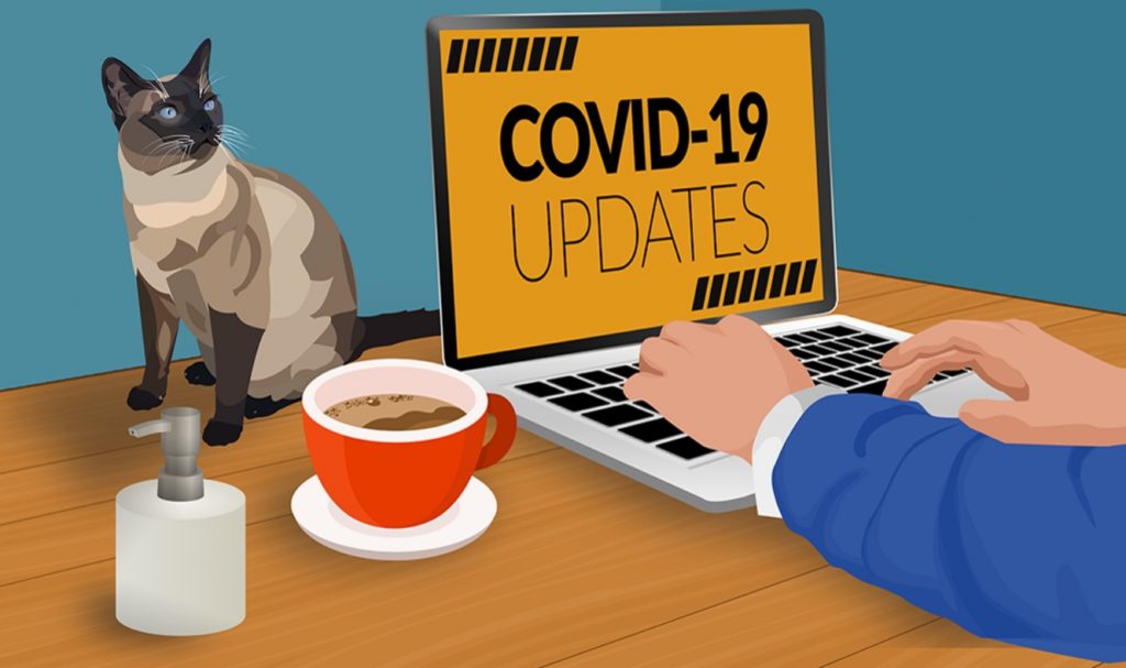 an illustration of a laptop that says covid-19 updates, wth a cup of coffee and a cat beside it