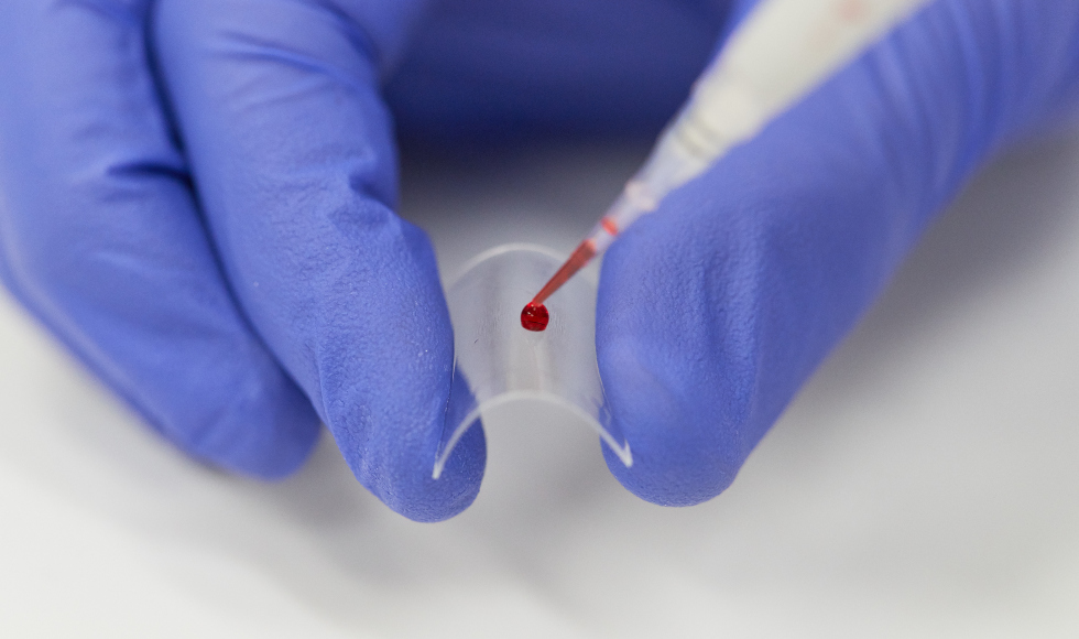 Close up of hands wearing blue gloves putting a drop of blood onto a slide from a pipette