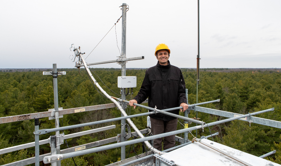 A man in a yellow hard hat stands at the top of a metal tower overlooking a forest of trees