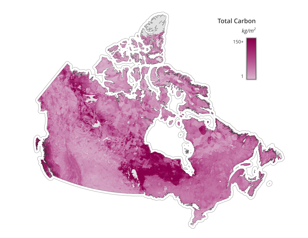 mcmaster-research-reveals-enormous-impact-of-canada-s-carbon-stores-on