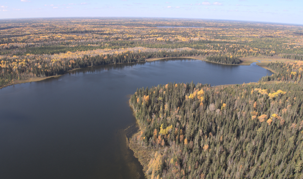 An aerial view of a body of water surrounded by forest