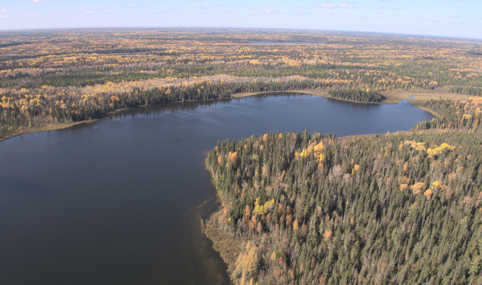 McMaster research reveals enormous impact of Canada's carbon stores on global  climate change – Brighter World