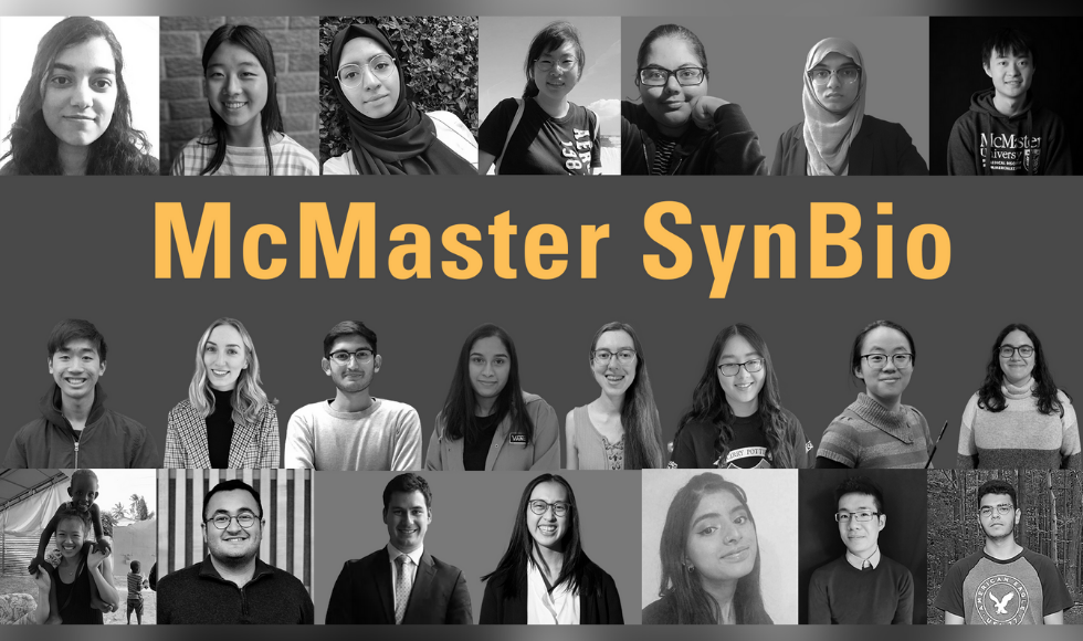A graphic that contains 22 photos of students and the text ‘McMaster SynBio’ in yellow. The photos of the students are all headshots and are in black and white. The yellow text is on a grey background.