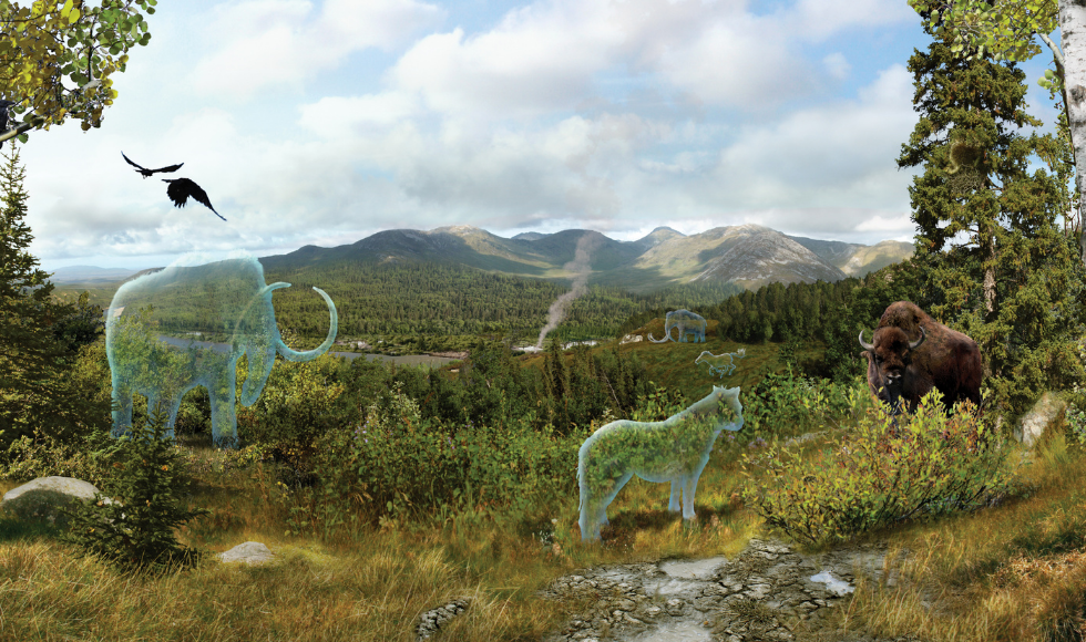 Illustration shows the outline of mammoths and other ancient creatures against a landscape