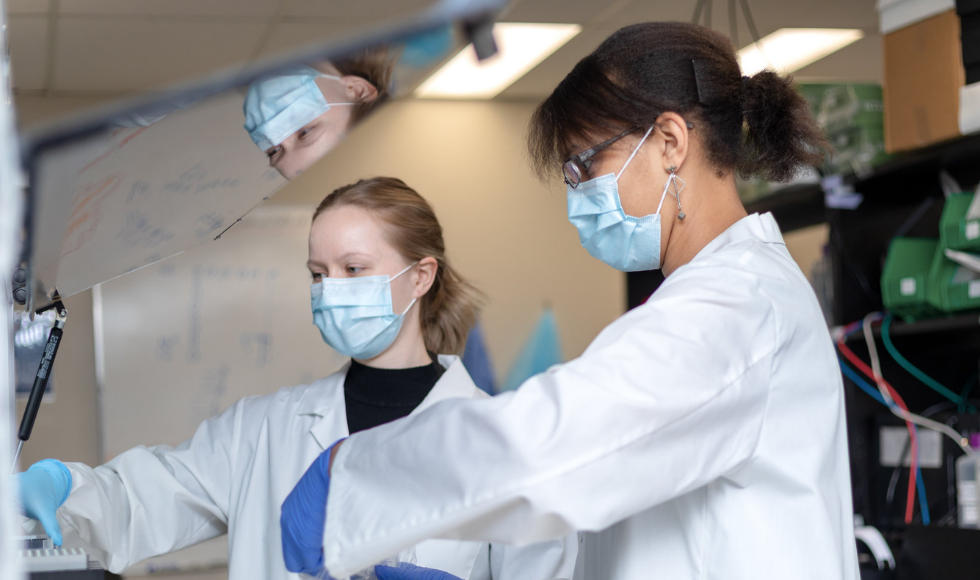 Two masked scientists in lab coats working in a lab.