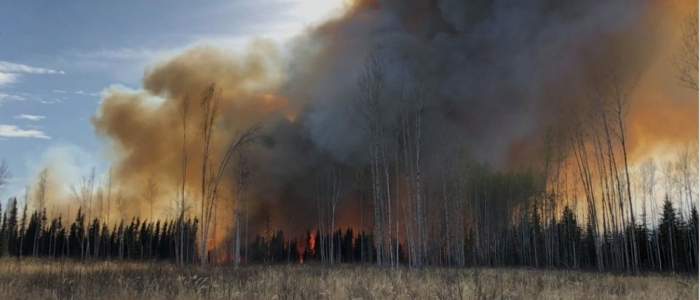 Smoke billowing up from a forest fire