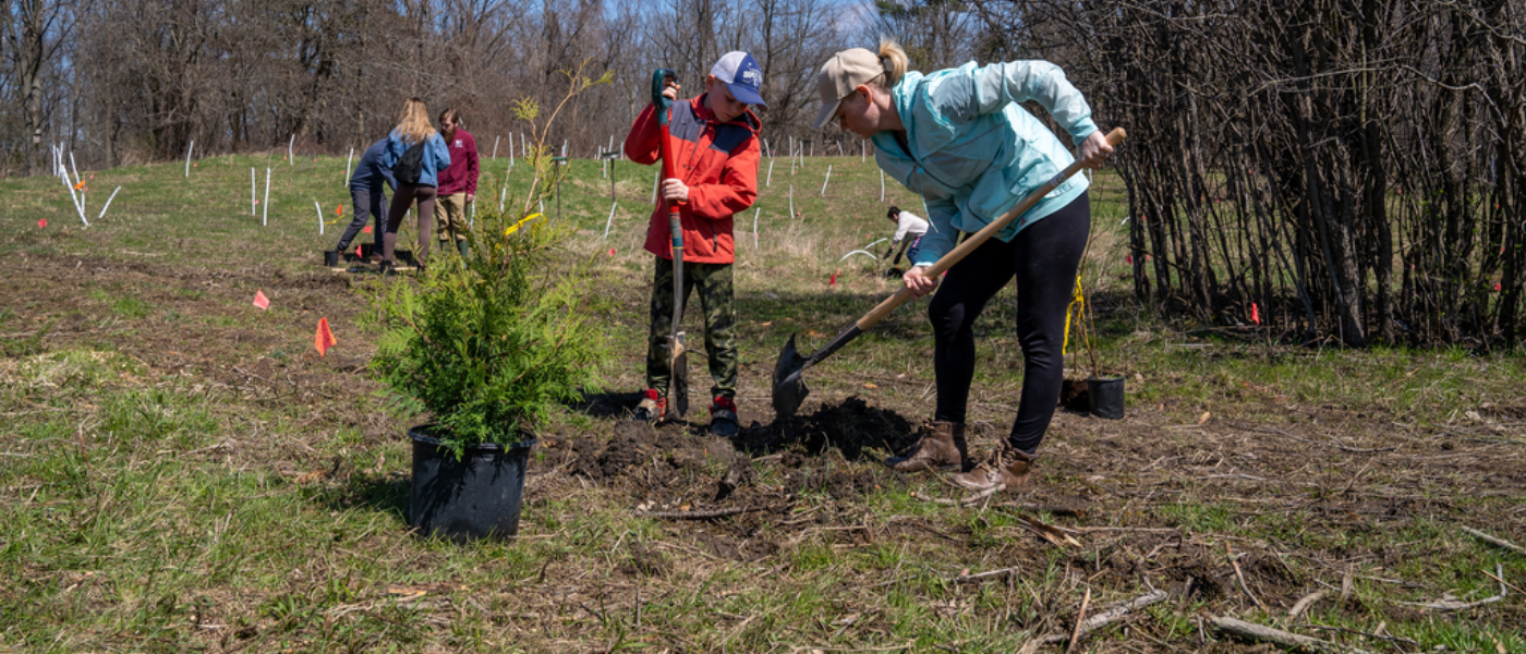 A woman and young boy planting a tree