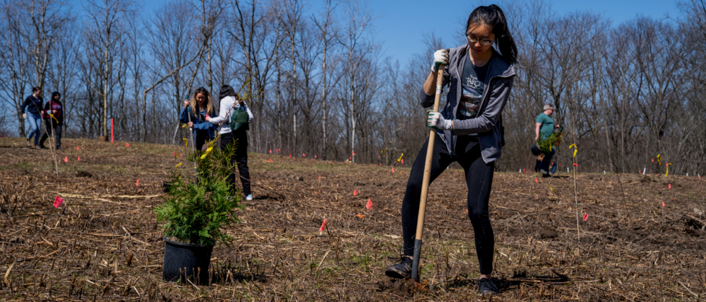 Let's talk Climate Change: Which trees absorb the most carbon dioxide? —  Friends of Chandler Pond