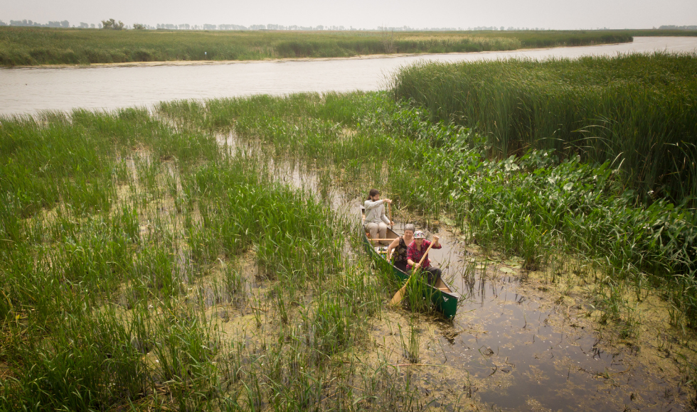 Three people seen from a height, seated in a canoe in a marshy wetland