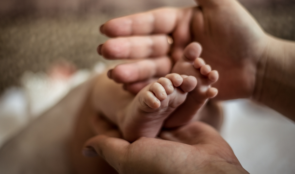 A baby's feet cupped between an adult's hands
