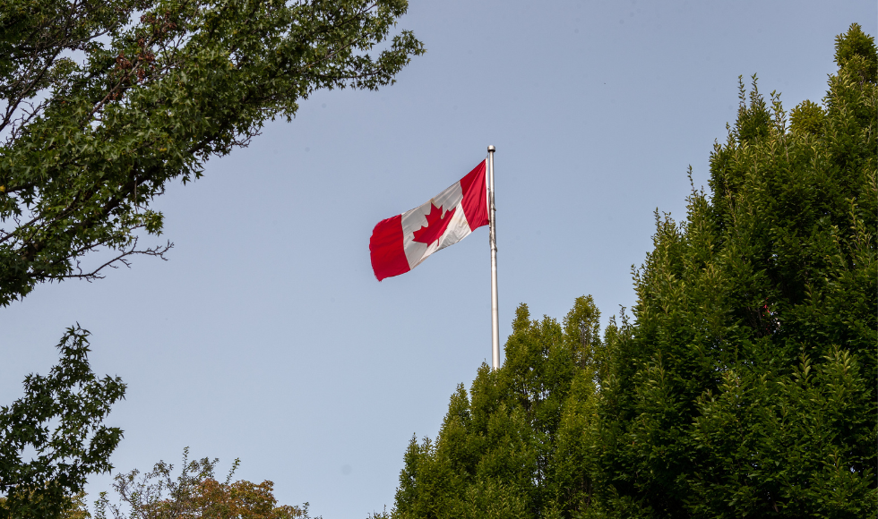 A Canadian flag against a blue sky with some greenery in the foreground