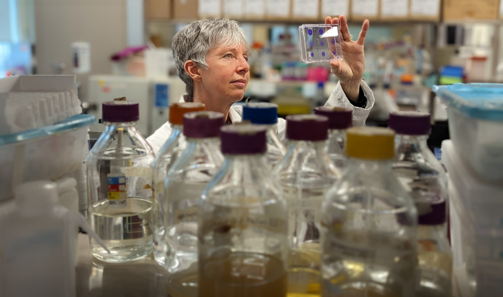 A person standing in a laboratory, wearing a white lab coat and holding up a Petri dish