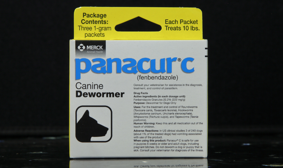 A container of Panacur C canine dewormer