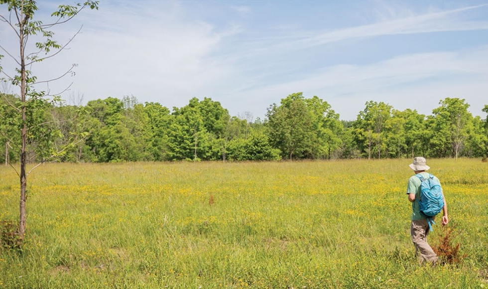 Sebastien Irazuzta walks through the open meadow of the McMaster Forest