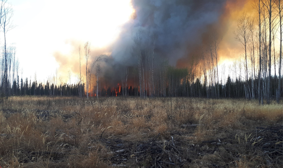 Dry brush, flames and smoke in the daylight