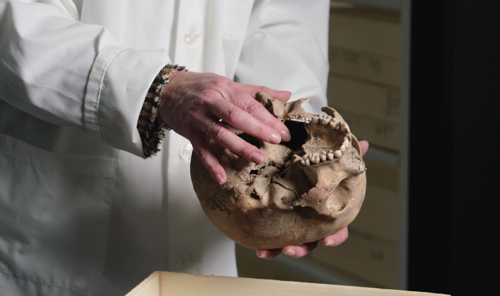 The hands of a person in a lab coat holding an old skull