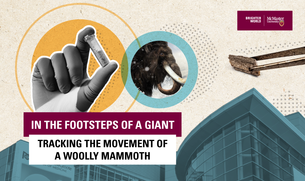 A graphic that reads, ‘In the footsteps of a giant - tracking the movement of a woolly mammoth.’ It also features an image of a woolly mammoth, a hand holding a vial and a pair of tweezers holding a fragment of a tusk.
