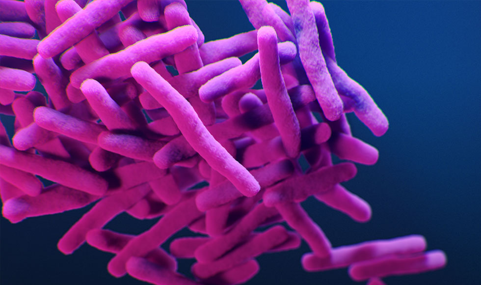 Image of Mycobacterium tuberculosis bacteria