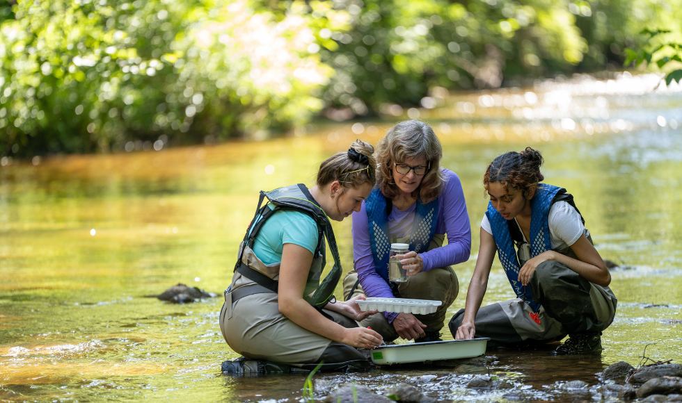 three people in hip waders kneel on a river bank doing research.