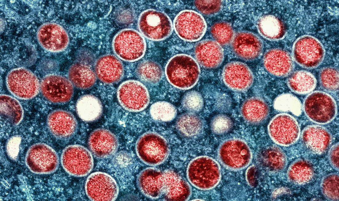 A microscopic image shows red and white circles against a blue background.