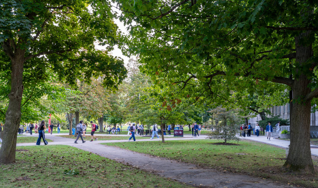 Students with backpacks seen from a distance in the fall as they move along the tree-lined paths that crisscross BSB field.