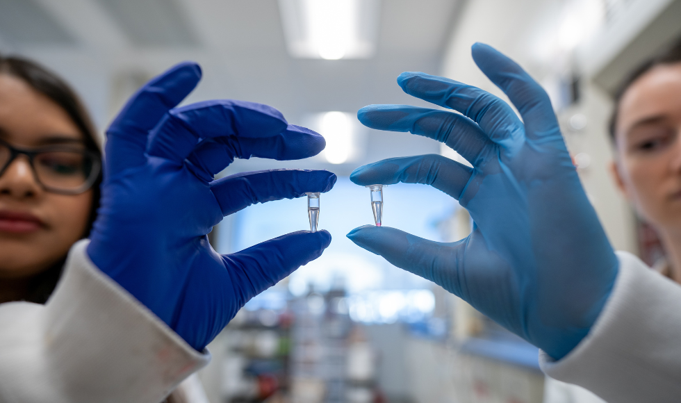 A tight shot of two hands with blue nitrile gloves on them. Each hand is holding up a small vial of liquid. In the background, out of focus, the partial view of two faces can be seen.