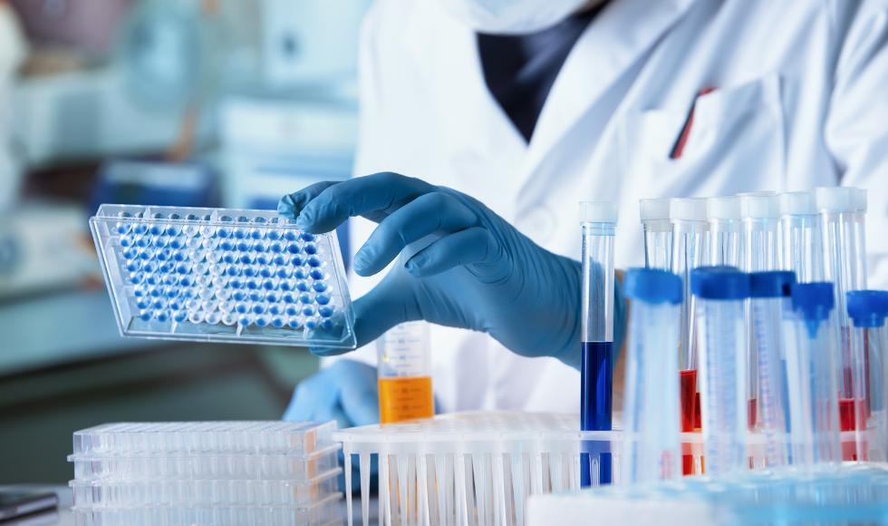 A person in a laboratory setting wearing a blue nitrile glove and holding up a microplate panel.