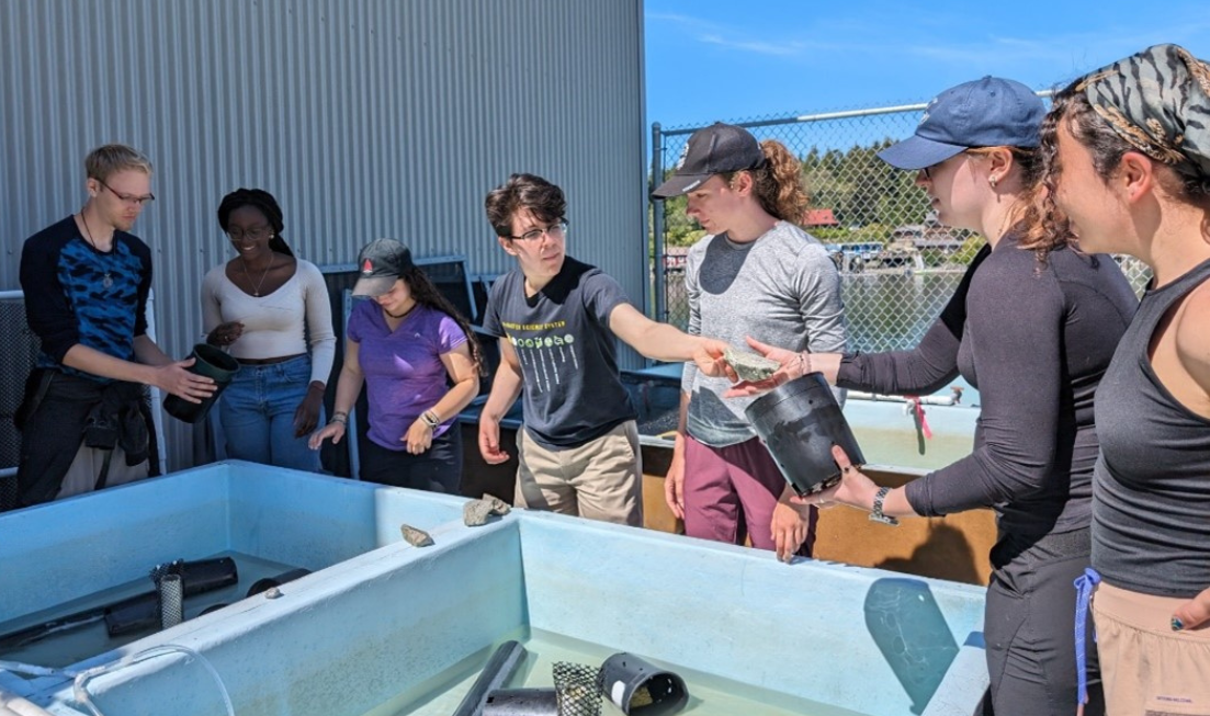 Seven students standing at outdoor water tanks and working with equipment on a sunny day.