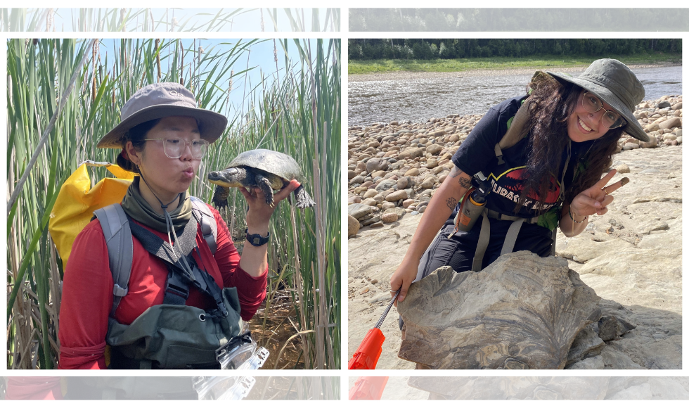 Two images side by side in a grid. The left image shows a woman holding a turtle. The right image shows a woman holding a large shell.
