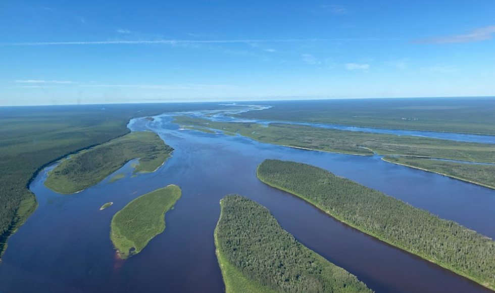 An aerial shot of a river, split with islands of green.